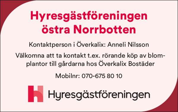 Information från Hyresgästföreningen i Östra Norrbotten angående köp av blomplantor